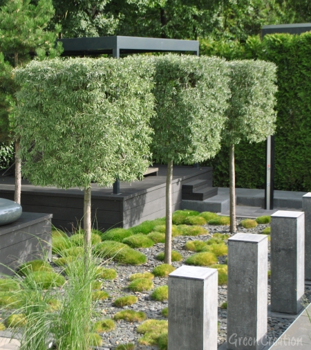 Gartengestaltung – Green Creation